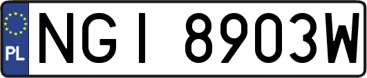 NGI8903W