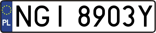 NGI8903Y