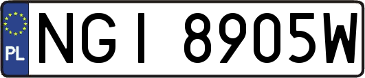 NGI8905W