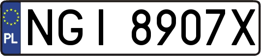 NGI8907X