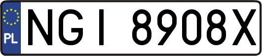 NGI8908X