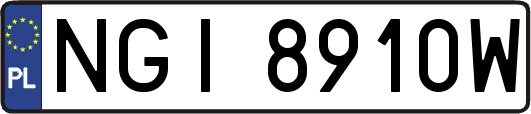NGI8910W