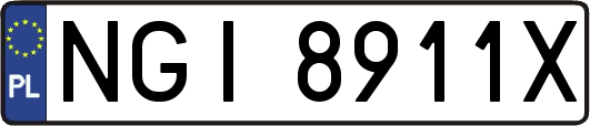 NGI8911X