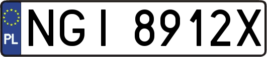 NGI8912X