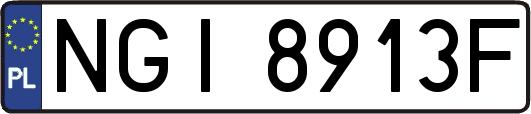 NGI8913F