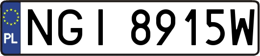 NGI8915W