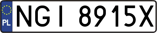 NGI8915X