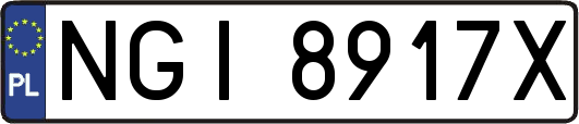 NGI8917X