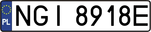 NGI8918E