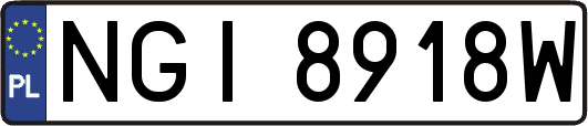NGI8918W
