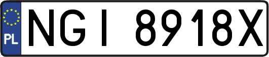 NGI8918X