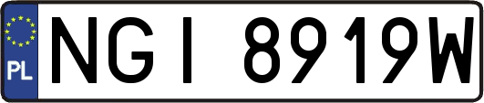 NGI8919W