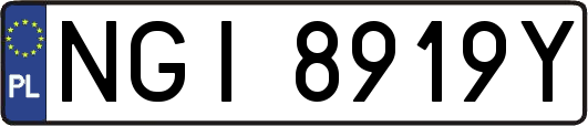 NGI8919Y