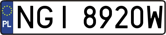 NGI8920W