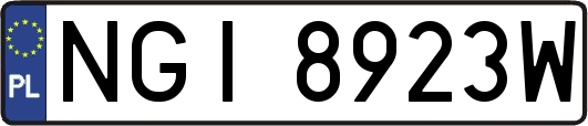 NGI8923W