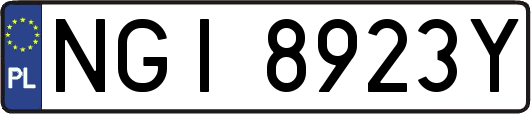 NGI8923Y