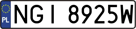 NGI8925W