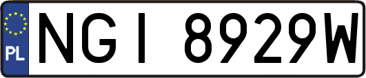 NGI8929W