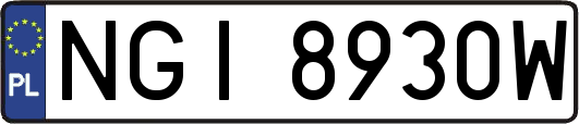 NGI8930W
