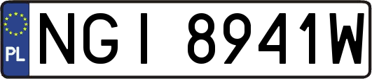 NGI8941W