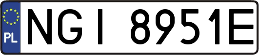 NGI8951E