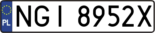 NGI8952X
