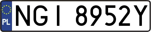 NGI8952Y