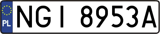 NGI8953A