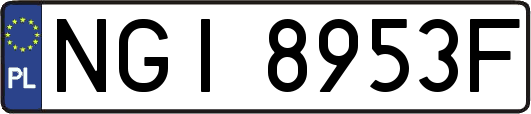 NGI8953F
