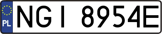 NGI8954E