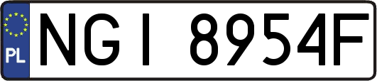 NGI8954F