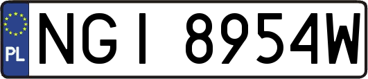 NGI8954W