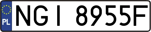 NGI8955F