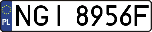 NGI8956F