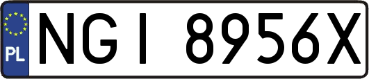 NGI8956X