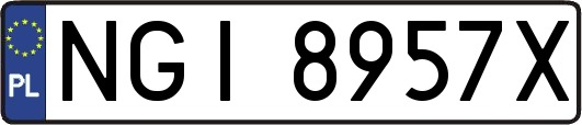 NGI8957X