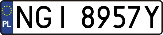 NGI8957Y