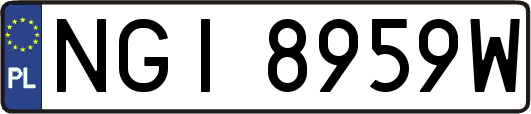 NGI8959W