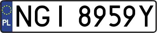 NGI8959Y