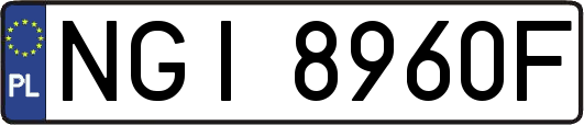 NGI8960F