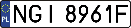 NGI8961F