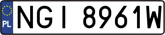NGI8961W