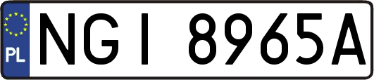 NGI8965A