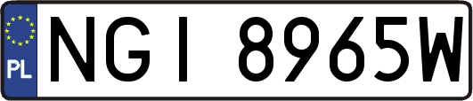NGI8965W