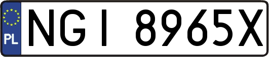 NGI8965X