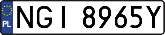 NGI8965Y