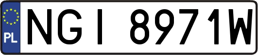 NGI8971W