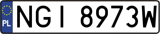 NGI8973W