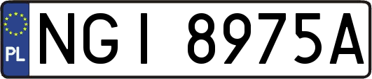 NGI8975A