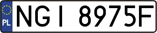 NGI8975F